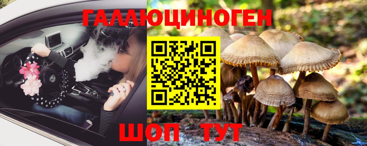 Галлюциногенные грибы прущие грибы Луга